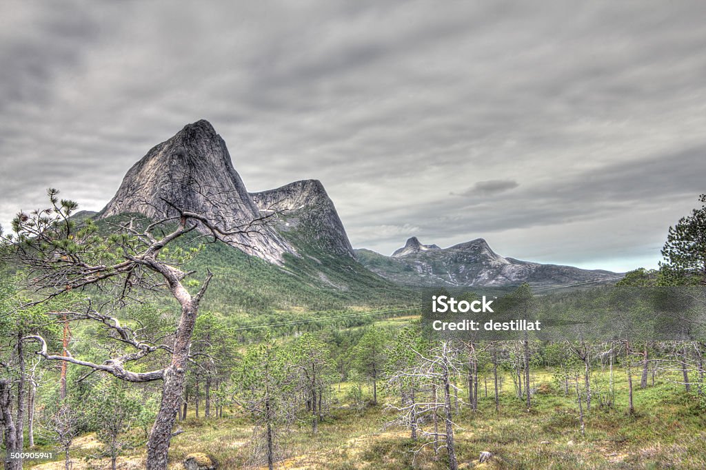 Norwegian tundra and mountains Norwegian tundra and mountains landscape in summer Arctic Stock Photo