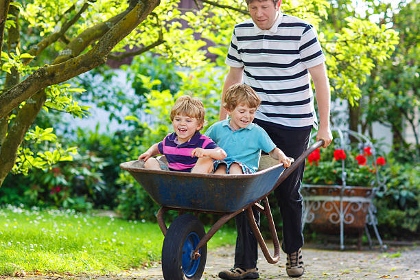 istock Two little boys having fun in wheelbarrow pushing by father 500906689