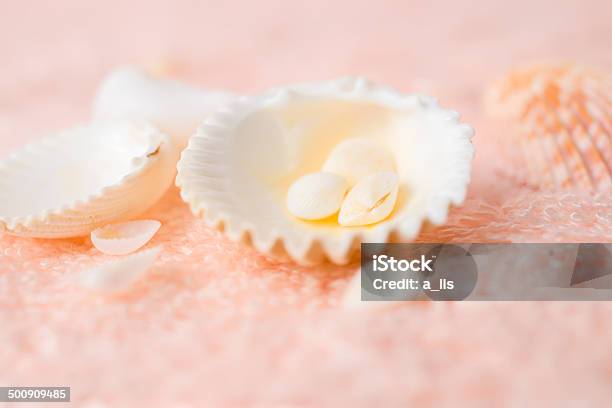 Bright Seashells On Soft Pink Terry Texture Closeup Stock Photo - Download Image Now