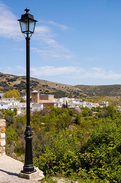 10+ Juviles Stock Photos, Pictures & RoyaltyFree Images iStock