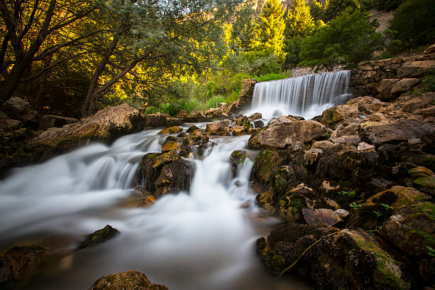 pequena cascata e rock - miniature weir imagens e fotografias de stock