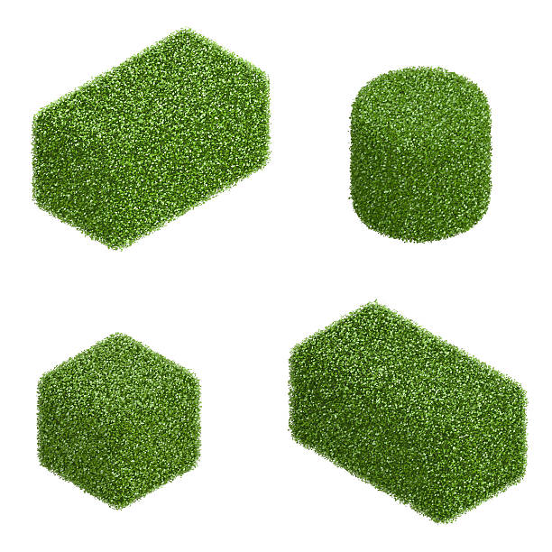 Collection of green potted plants on stone terrace. Plants are manicured evergreen shrubs in geometric planters. Evergreen shrubs and small conifer are arranged in concrete planters on stone stairs
