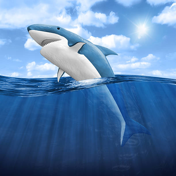 istock 3d Shark Jumping out of water 500921871