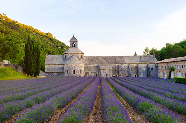 istock Senanque Abbey with blooming lavender field at dusk (Provence, France) 500923015