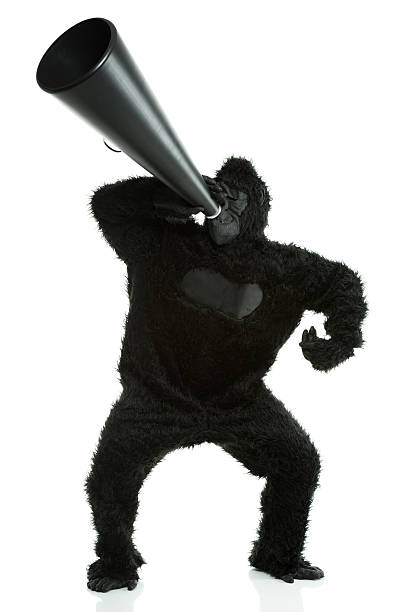 gorilla mit schreien in ein megafon - animal imitation audio stock-fotos und bilder