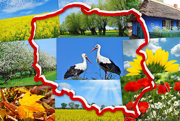 istock beauty of Poland-collage 500924259