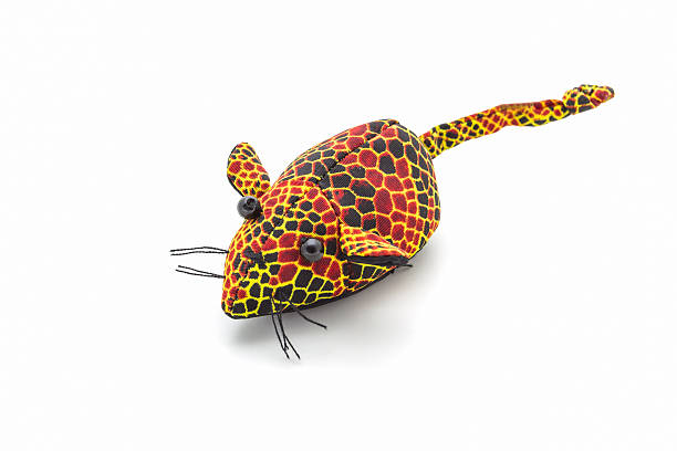 istock Artificial colorful of animal made from cloth. 500925329
