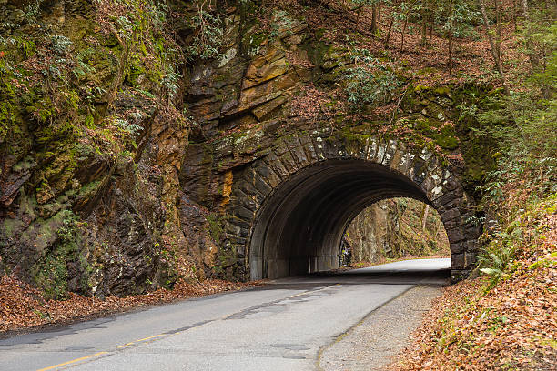 istock Road Under a Stone Bridge in the Smoky Mountains 500925598