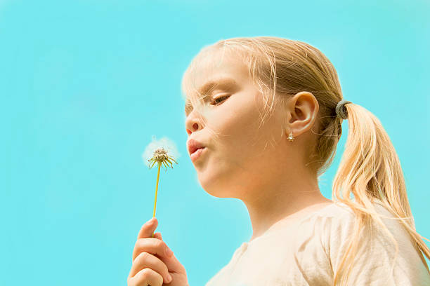 istock girl blowing on a dandelion 500926813
