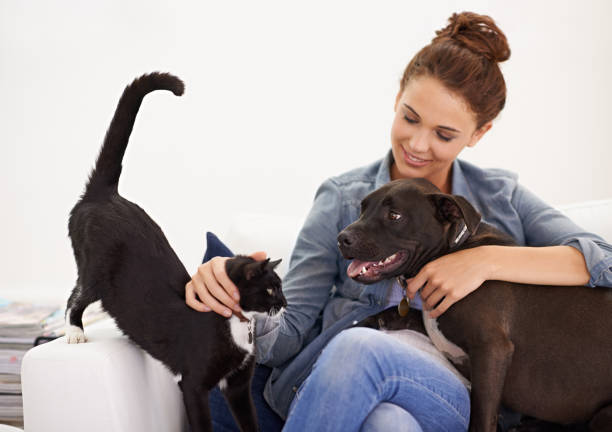 Shot of a beautiful young woman relaxing on the couch with her dog and cathttp://195.154.178.81/DATA/i_collage/pi/shoots/783489.jpg