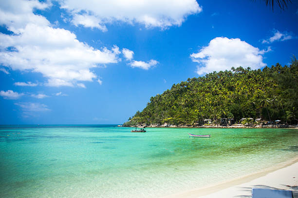 istock Tropical beach at Koh Phangan - nature background. Thailand 500928287