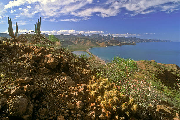 View of the Sierra de la Giganta Mountains and Sea of Cortez in Baja California Sur, Mexico.