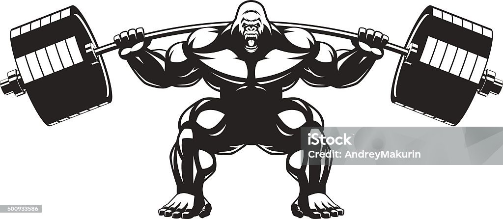 Strong monkey athlete Vector illustration of an angry gorilla with a barbell Gorilla stock vector