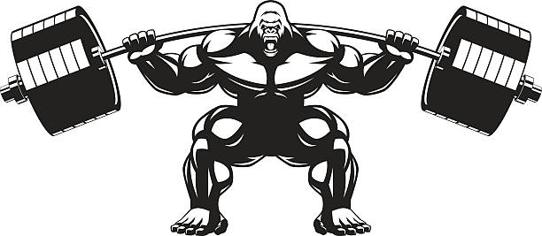 Strong monkey athlete Vector illustration of an angry gorilla with a barbell animal macho stock illustrations