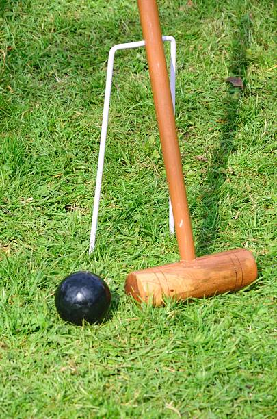istock Croquet mallet with black ball 500933904