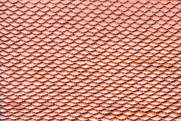 istock pattern of ceramic tiles like fish scales 500941583