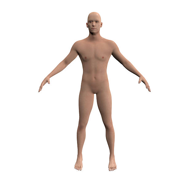 istock Caucasian male figure 500941629