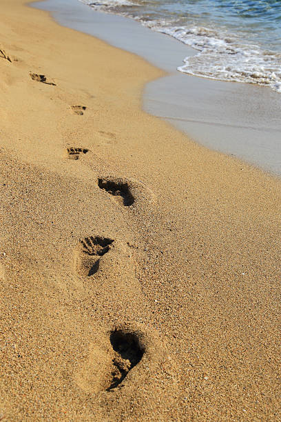 istock Sandy shoreline with footprints Falasarna Crete 500941665