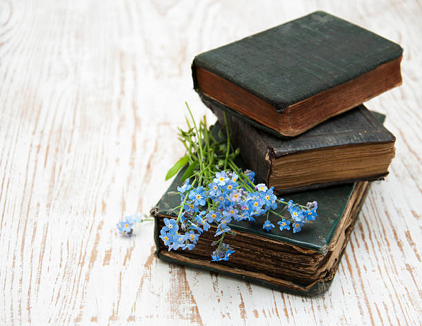 Weathered Bible on a Bench