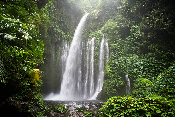 air terjun tiu kelep 滝、senaru 、ロンボク島、インドネシア、south - west nusa tenggara ストックフォトと画像