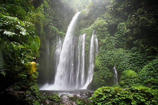Air Terjun Tiu Kelep waterfall, Senaru, Lombok, Indonesia, South Air Terjun Tiu Kelep waterfall, Senaru, Lombok, Indonesia, Southeast Asia, Asia air terjun stock pictures, royalty-free photos & images