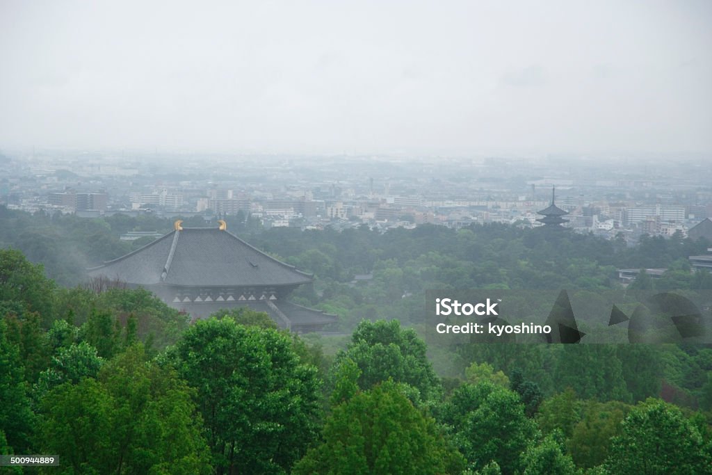 寺院の雨の日の森林 - 奈良県のロイヤリティフリーストックフォト