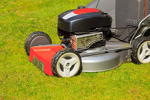 istock Gardening. Mowing green lawn with red lawnmower 500946877