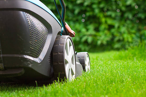istock blue lawn mower on green grass 500948193