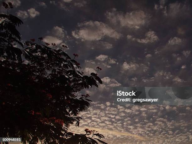 Mackerel Sky At Dusk Stock Photo - Download Image Now - Backgrounds, Blue, Cirrocumulus