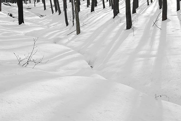 istock winter forest with bare trees and hills covered by snow 500954334