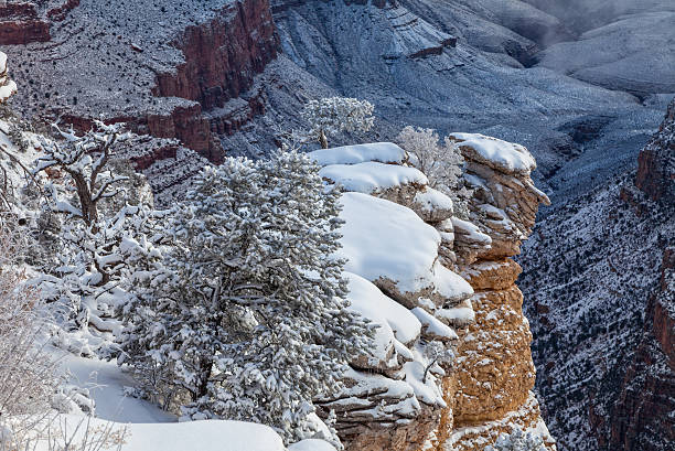 istock Grand Canyon in Winter 500955376