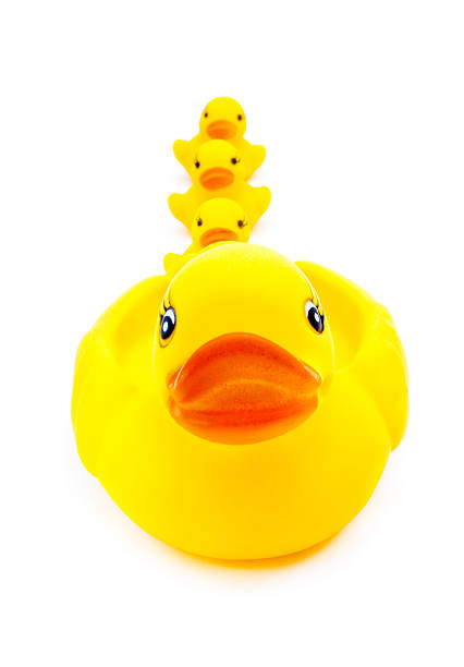 istock Rubber yellow duck toy on white background 500956982
