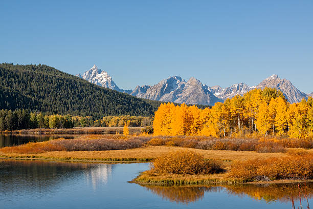 istock Autumn in the Tetons 500958832