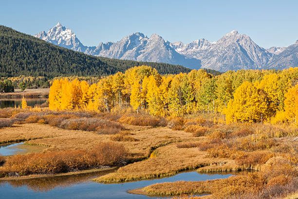 istock Teton National Park in Fall 500958948