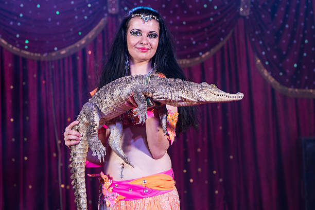 dançarina da dança do ventre exóticas retenção crocodilo pequeno - beautiful confidence bizarre exoticism imagens e fotografias de stock