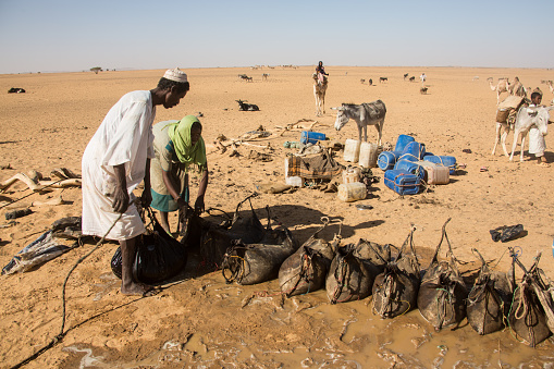 Karima, Sudan - January 6, 2011: Nomads fill their water sacks at a deep fountain in the desert, Sudan