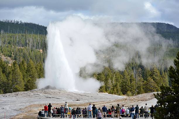 istock Old Faithful Geyser 500961922