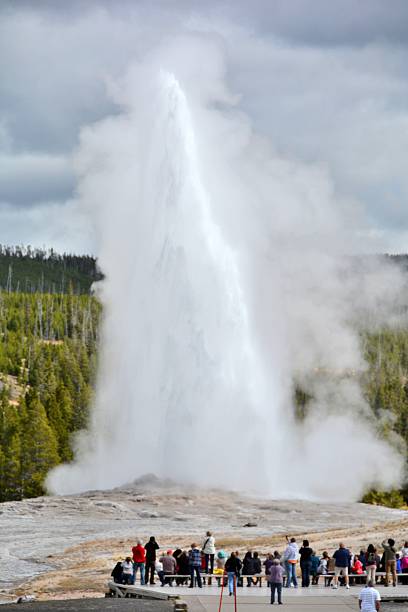 istock Old Faithful Geyser 500961960