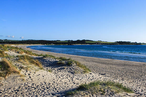 istock Sandy beach in Norway daytime summer with clear sky 500963146