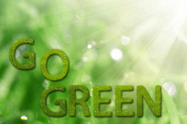 istock Go green sign on natural background 500964672