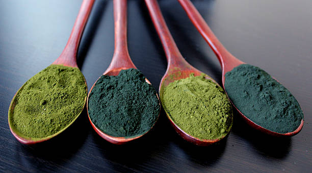 istock Spirulina and Chorella algae super food 500967692