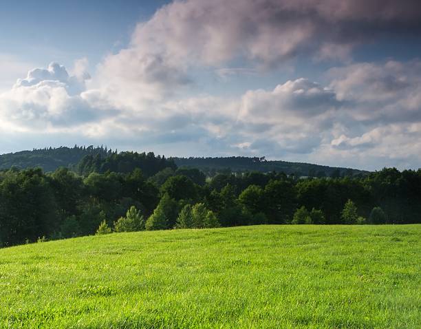 istock Before sunset colorful sky over meadow 500989322