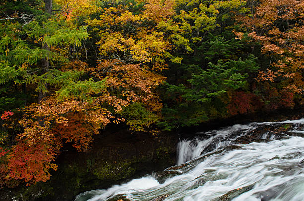 ryuzu cascata di nikko - water beauty in nature waterfall nikko foto e immagini stock