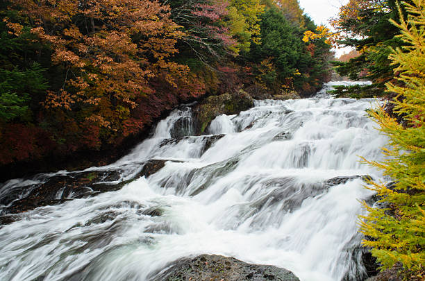 ryuzu cascata di nikko - water beauty in nature waterfall nikko foto e immagini stock