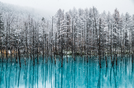 Winter time at the famous Biei Blue Pond.