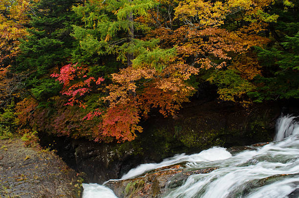 ryuzu 日光の滝 - water beauty in nature waterfall nikko ストックフォトと画像
