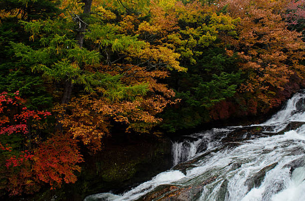 ryuzu cascata di nikko - water beauty in nature waterfall nikko foto e immagini stock