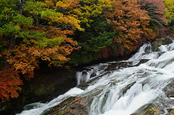 ryuzu 日光の滝 - water beauty in nature waterfall nikko ストックフォトと画像