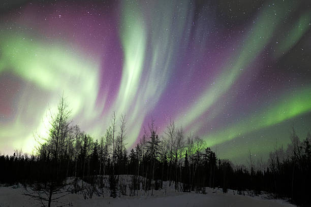 北の光 - yellowknife ストックフォトと画像