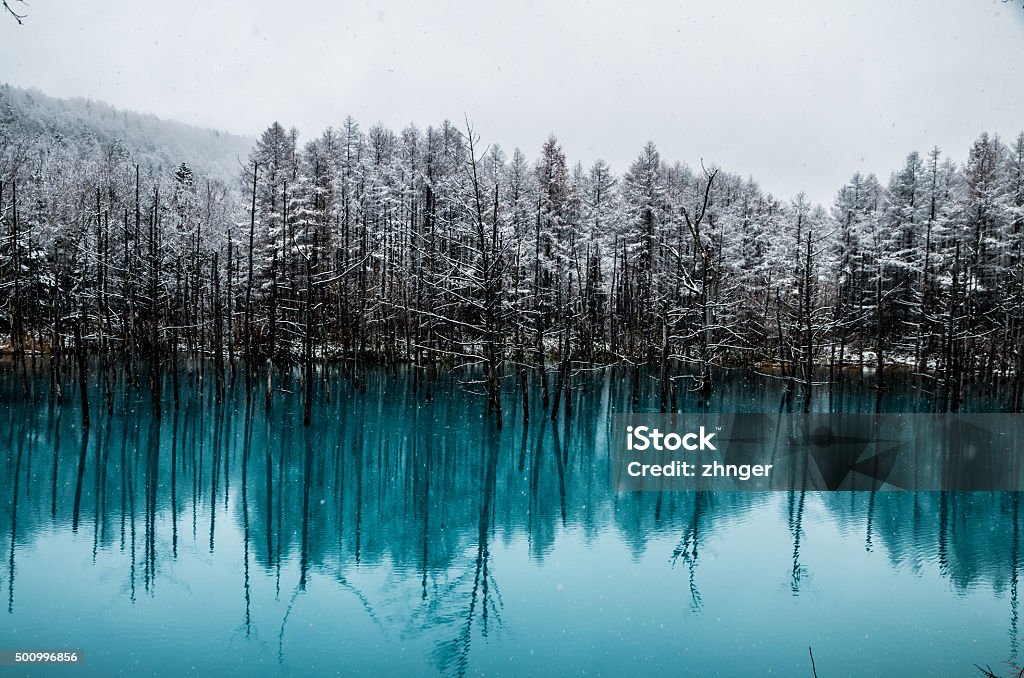 Biei Blue Pond A beautiful winter view of Biei Bule Pond Hokkaido Stock Photo